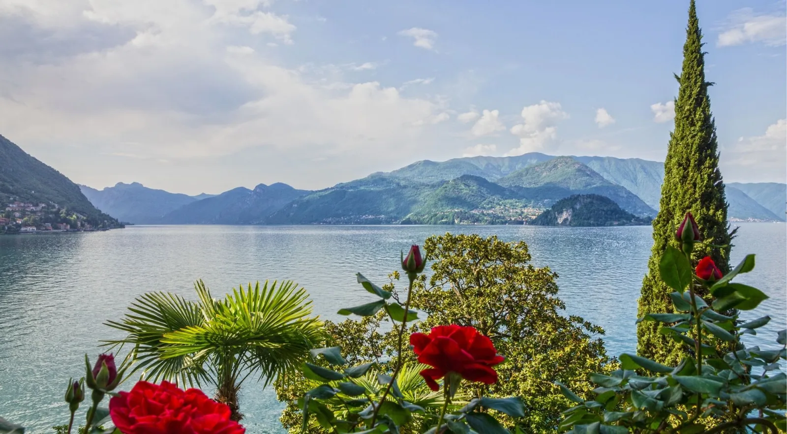 Red roses and a fan palm in the foreground with Lake Como and the mountains beyond