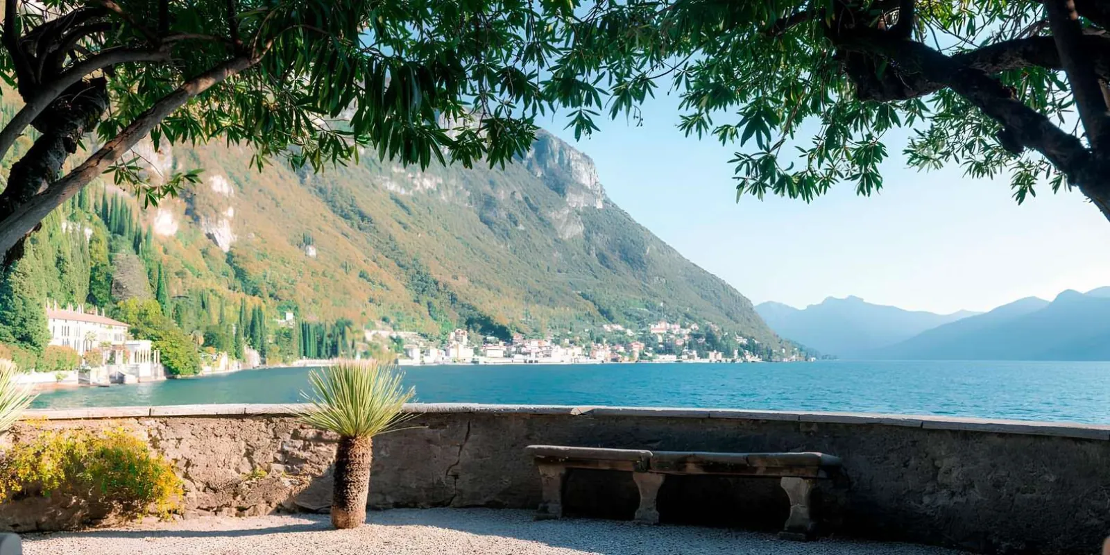 A stone bench on the Villa Cipressi lake terrace under an old magnolia, the Grigne across the water