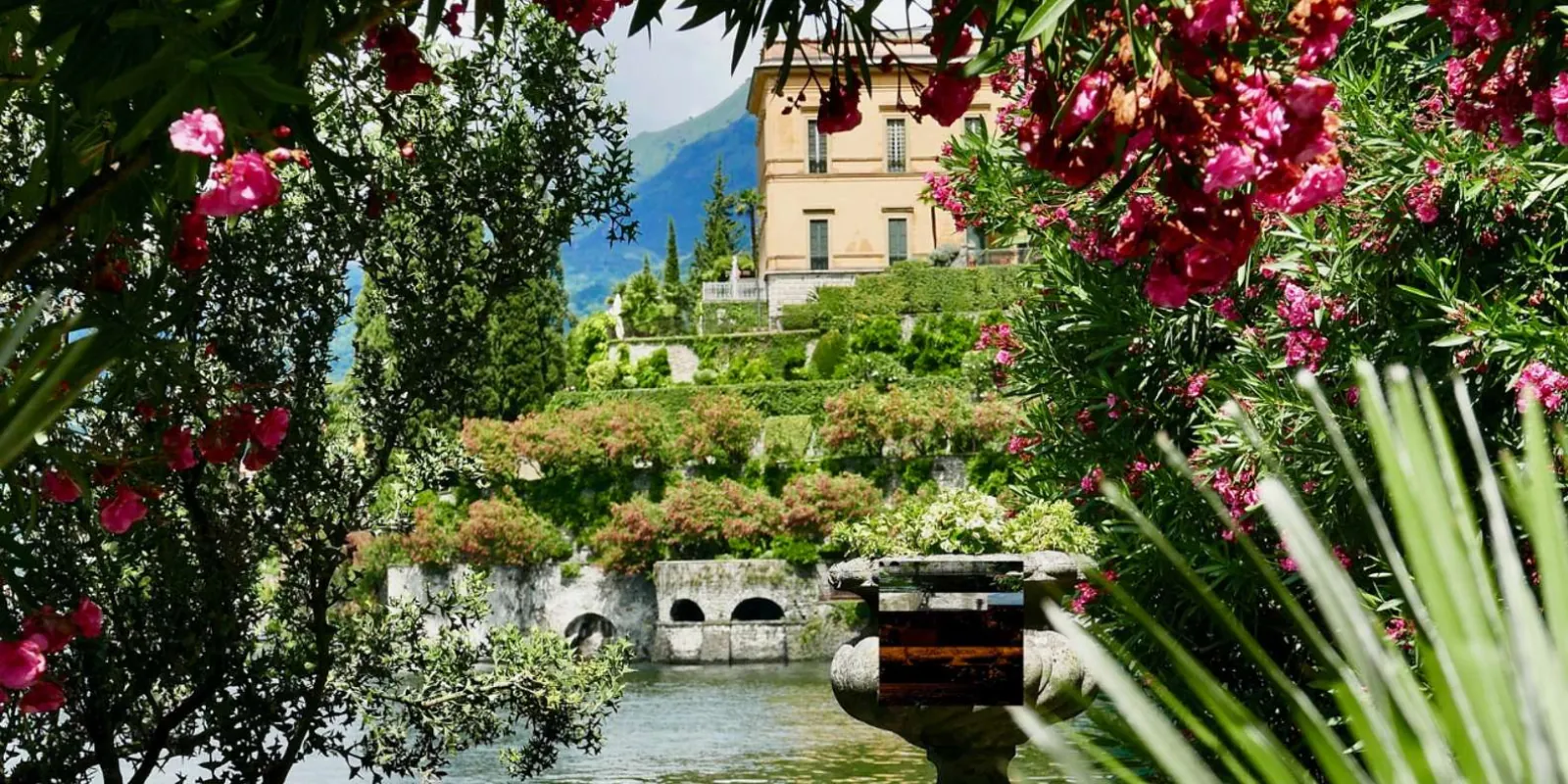 Villa Monastero's ochre front rising above its terraced beds, seen through flowering oleander