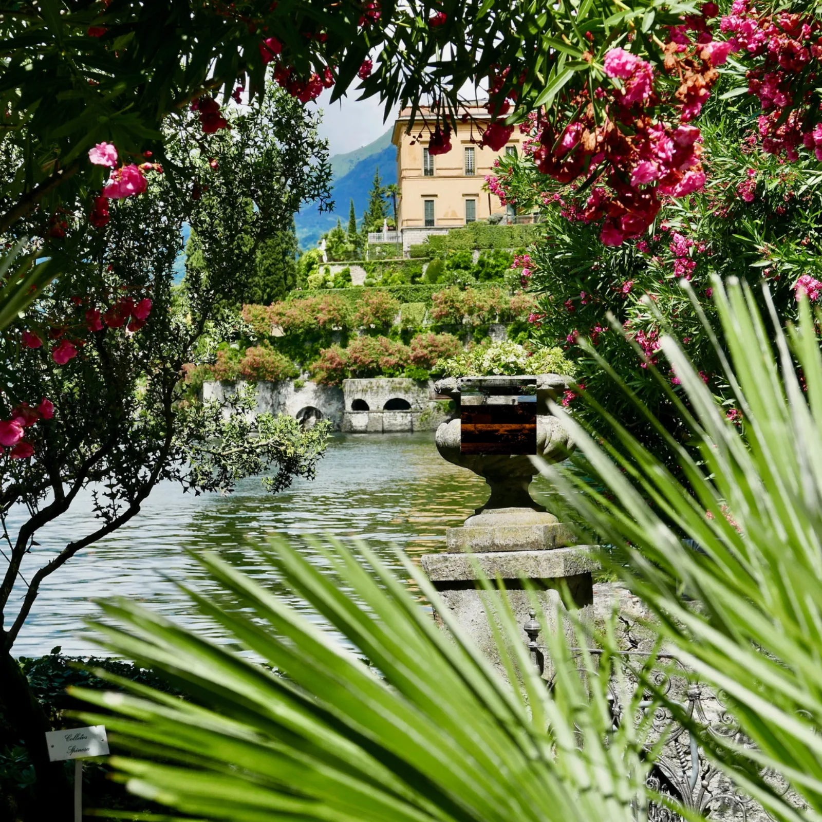 Varenna: Villa Monastero Ticket & Wine Tasting in Bellagio